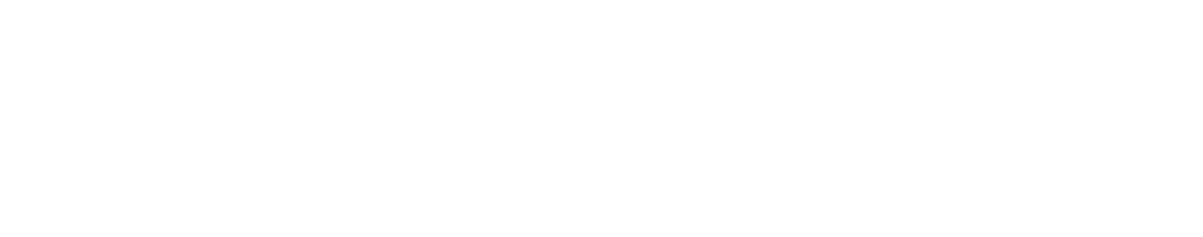 Menon Bearings Ltd